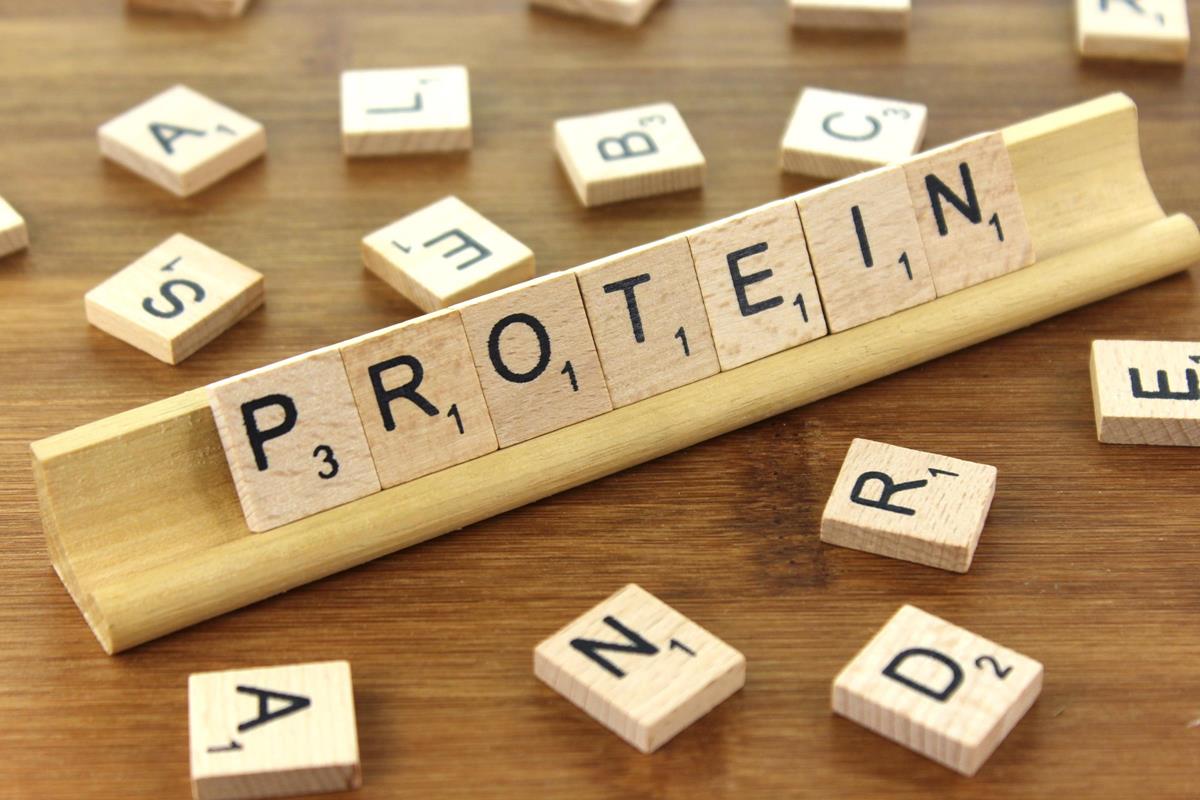 Why Protein Is An Essential Nutrient & Building Block For Your Body